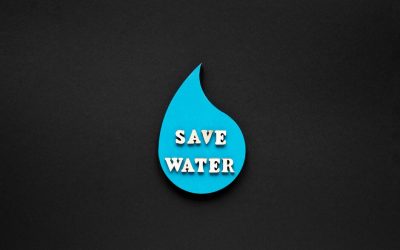 Simple Ways to Save Water and Cut Your Utility Costs