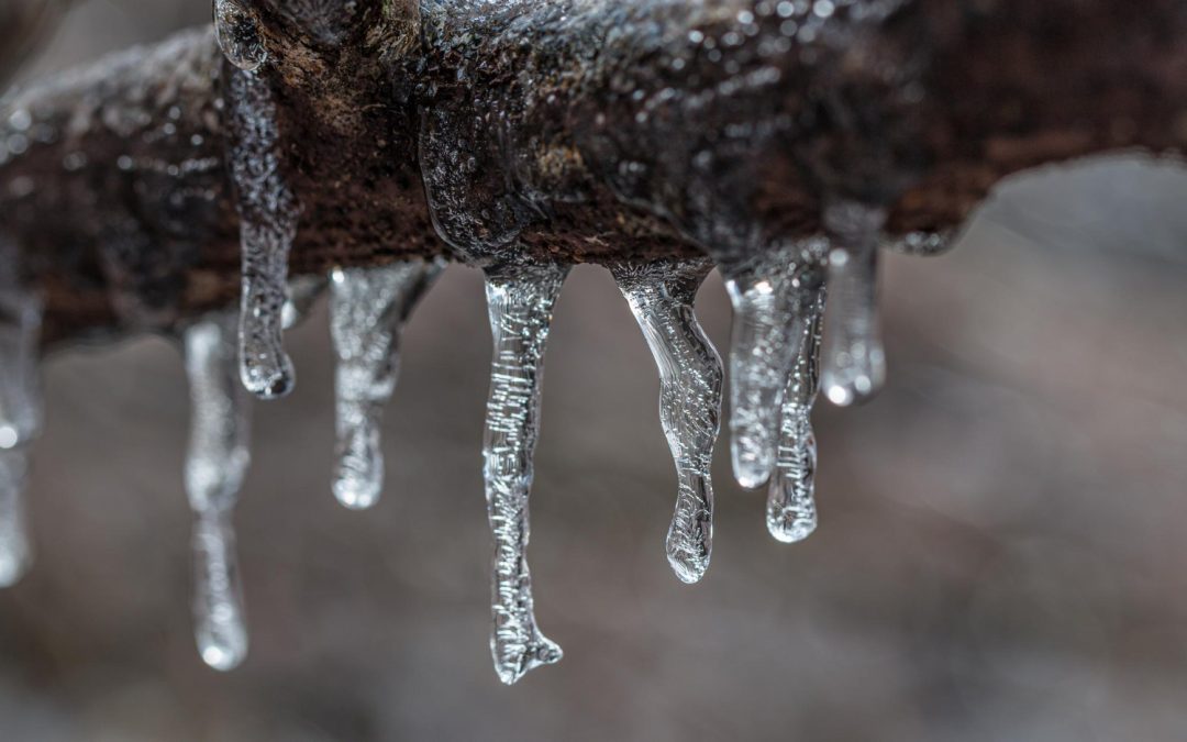 Winter Pipe